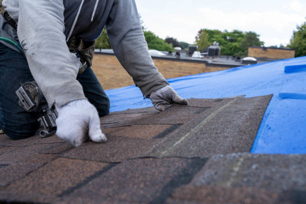 Best Commercial Roofing Services  in La Salle, CO